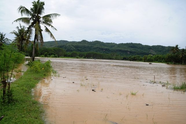 Tanggul Sungai Grindulu Jebol (Foto : Humas Pacitan)