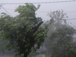 Angin kencang melanda Pacitan (Foto IST)
