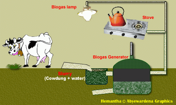 Ilustrasi Pemanfaatan Biogas