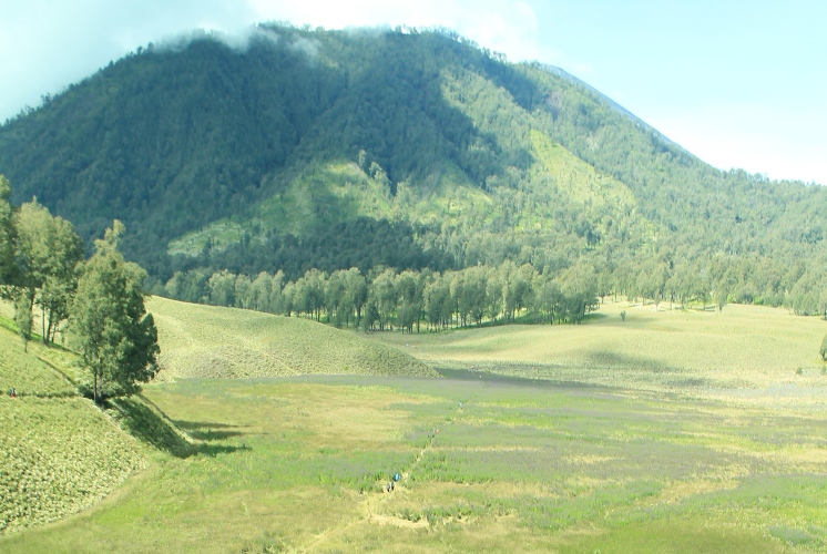 Pendakian Gunung Semeru. (Foto : Dok.Pacitanku)