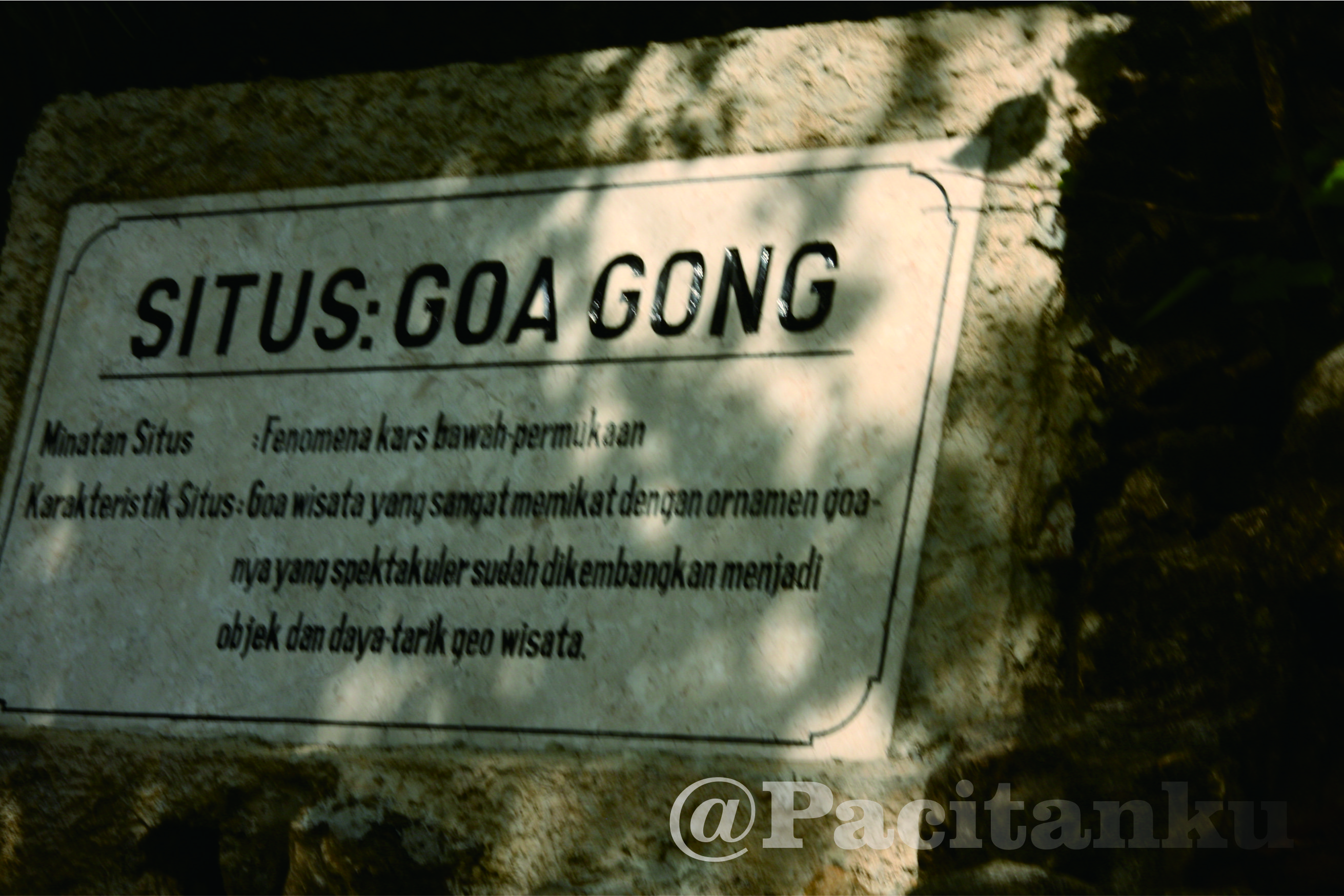 Goa Gong menjadi salah satu calon Geopark dunia. (Foto : Dok.Pacitanku)