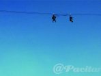 Flying Fox di Pantai Taman Hadiwarno. (Foto : Dok.Pacitanku)