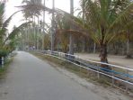 Akses jalan di pantai Pidakan yang sudah aspal. (Foto : Pantai Pidakan)
