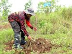 Salah satu anggota ormas pemuda di Pacitan sedang menanam Pohon. (Foto : Arif Sasono/Info Pacitan)