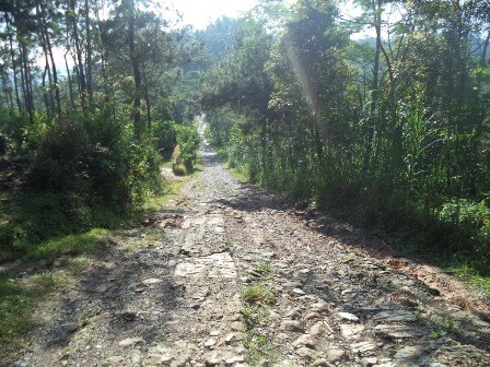 Salah satu infrastuktur jalan di Pacitan yang belum tergarap. (Foto : Tri Wiyoko/FB)