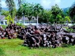 Mangkrak. Sebanyak 479 meter kubik kayu jenis jati dan mahoni mangkrak di lahan milik dinas bina marga dan pengairan. (Foto : yun)