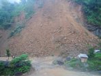 material longsor di kawasan tegalombo. (Foto : Muhammad Fajar Bakhroni/Pacitanku)