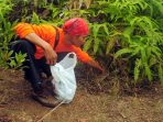 Seorang peserta Upacara menggelar agenda gugur gunung dengan membersihkan sampah di jalur pendakian Gunung Limo. (Foto: Arif Sasono/FB)