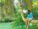 Seorang wisatawan berpose diatas pohon kelapa unik di Kali Maron, Pacitan. (Foto: Instagram/Pacitanku)