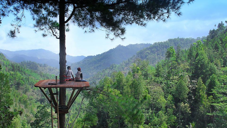 pengunjung menikmati pemandangan pohon pandang di kawasan wisata Pinus Kita Gemaharjo. (Foto: Arif Sasono/Pacitan Adventure Service)