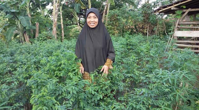 Bidan Siwi memperlihatkan kebun daun patuk untuk ibu hamil. (Foto: Health-liputan6.com)