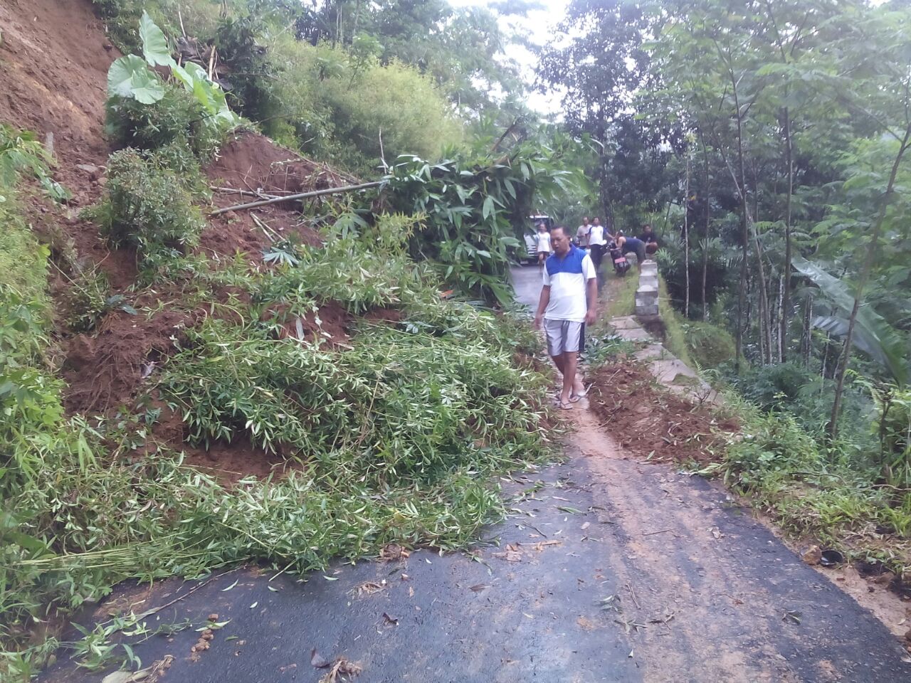 Jalan Bandar-Tegalombo mengalami Longsor. (Foto: Jatmiko Pacitan)