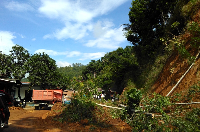 Longsor terjadi di Desa Krajan, Tegalombo, Minggu (13/11/2016). (Foto: Dok. Pacitanku)