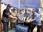 udang