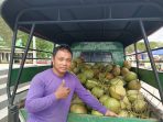 Pemasok Kelapa