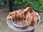 Tahu Tuna