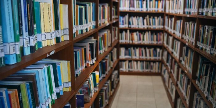 Seseorang sedang membaca buku referensi sejarah dan budaya karya anak daerah di Perpustakaan Daerah Pacitan.