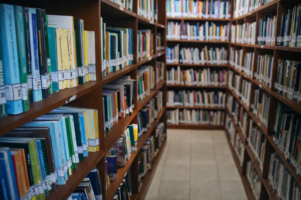 Seseorang sedang membaca buku referensi sejarah dan budaya karya anak daerah di Perpustakaan Daerah Pacitan.