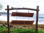 banteng mati pantai