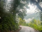 Jalan aspal basah melengkung melalui hutan hujan yang rimbun dan berkabut di pegunungan. Tebing tanah terlihat di sebelah kiri dan pemandangan bukit berkabut di sebelah kanan.
