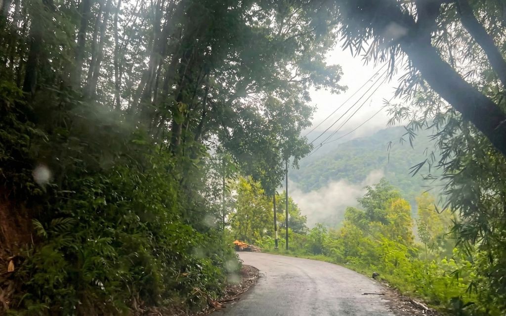 Jalan aspal basah melengkung melalui hutan hujan yang rimbun dan berkabut di pegunungan. Tebing tanah terlihat di sebelah kiri dan pemandangan bukit berkabut di sebelah kanan.