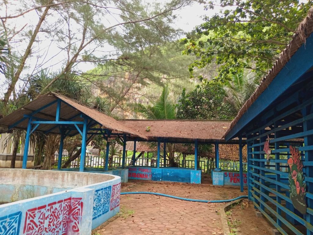 Penyu di dalam kolam penampungan edukasi konservasi Pantai Taman Pacitan