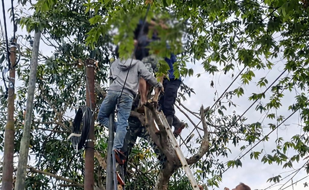 Tim gabungan dari kepolisian, damkar, dan warga mengevakuasi jenazah petani lansia yang tewas tersengat listrik di atas pohon di Desa Punung, Pacitan.