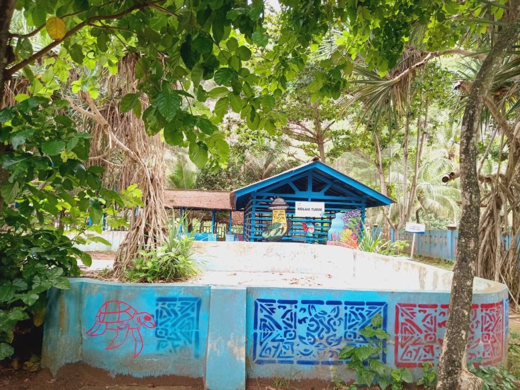 Dua ekor penyu sedang berenang di kolam konservasi Pantai Taman Pacitan yang menjadi sarana edukasi pengunjung.