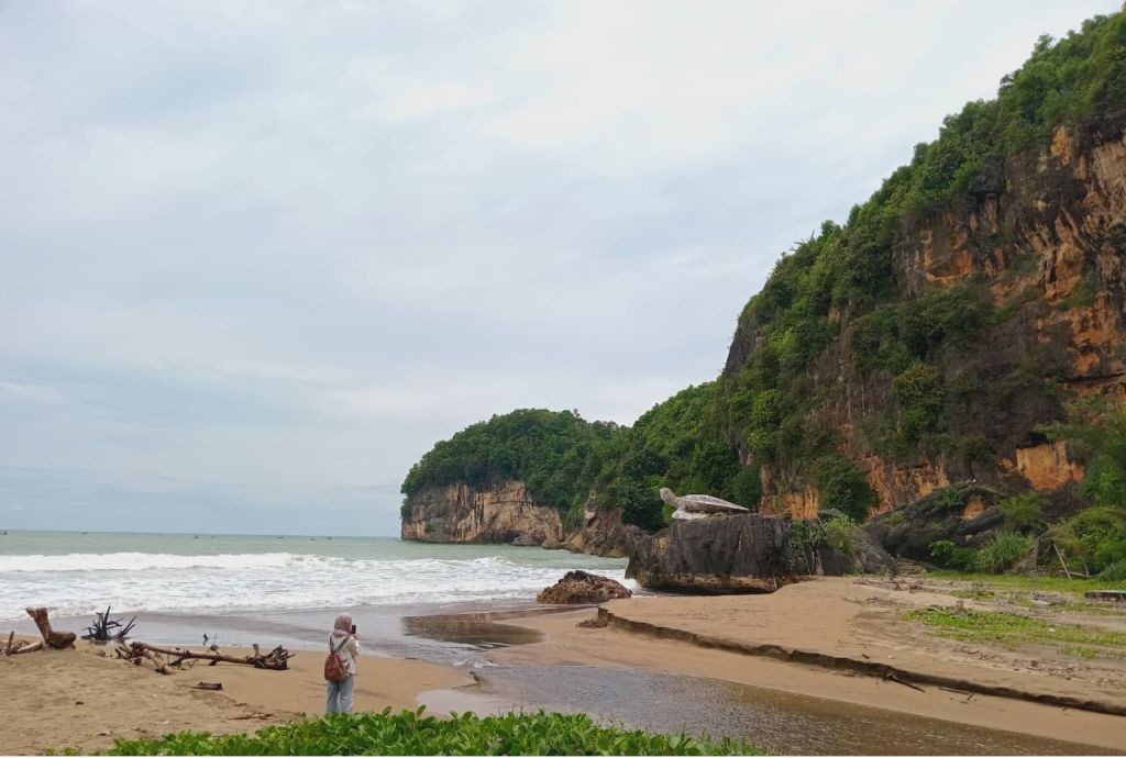 Pemandangan hamparan pasir, deburan ombak, dan tebing megah yang mengelilingi kawasan asri Pantai Taman di Desa Hadiwarno, Pacitan.