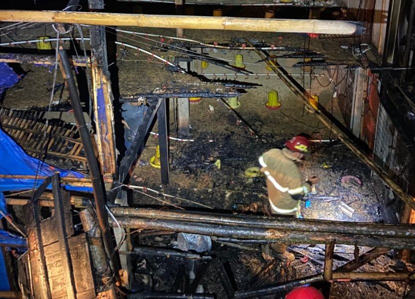 Kondisi bangunan kandang ayam ARSY Broiler Pacitan yang hancur dan hangus terbakar rata dengan tanah pasca kejadian.