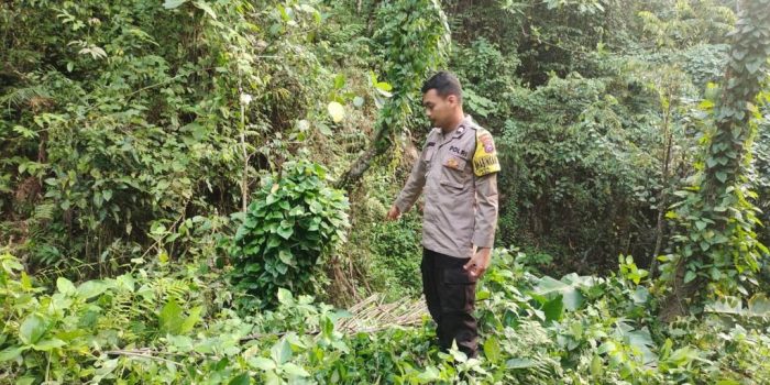 Evakuasi jenazah anggota TNI Sertu Sugeng Triono yang mengalami kecelakaan di Kebonagung Pacitan.
