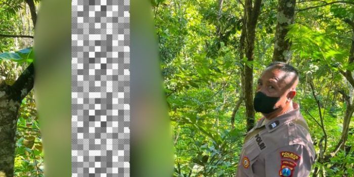 Evakuasi korban gantung diri di pohon talok Tegalombo Pacitan oleh polisi.