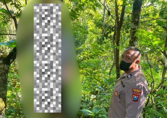 Kejadian Bunuh Diri di Desa Gemaharjo Pacitan. Evakuasi korban gantung diri di pohon talok Tegalombo Pacitan oleh polisi.