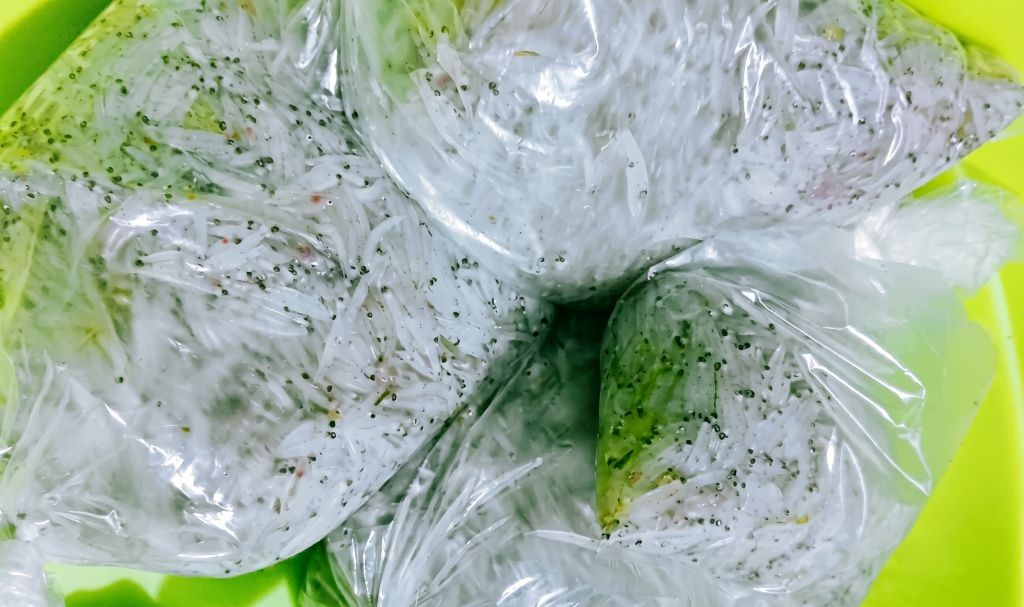 Warga dan nelayan Pacitan sedang menangkap ikan impun menggunakan jaring di muara Sungai Grindulu.