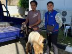 Pekerja BRI Pacitan menyerahkan bantuan hewan kurban kambing kepada pengurus mushola saat Idul Adha