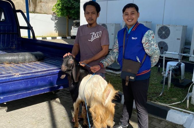 Penyaluran Bantuan Hewan Kurban BRI Pacitan Idul Adha Pekerja BRI Pacitan menyerahkan bantuan hewan kurban kambing kepada pengurus mushola saat Idul Adha