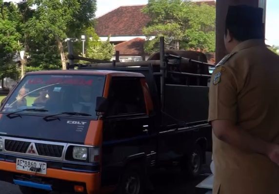Serah Terima Sapi Kurban Presiden Prabowo di Pacitan 2026. Wakil Bupati Pacitan Gagarin menyerahkan tali ikat sapi kurban Presiden Prabowo secara simbolis.