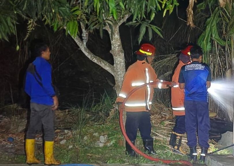 Kebakaran Lahan Kosong di Sidoharjo Pacitan Petugas Damkar Pacitan memadamkan api pada kebakaran lahan kosong di Kelurahan Sidoharjo akibat pembakaran sampah.
