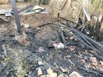 Kebakaran Rumah di Punung Pacitan Petugas Damkar Pacitan memadamkan sisa api pada puing-puing rumah yang terbakar di Desa Punung.