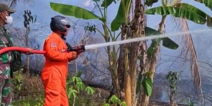 Petugas Damkar Pacitan dan TNI bersinergi menyemprotkan air ke kebakaran lahan kering di Desa Sambong.
