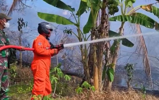 Sinergi Damkar Pacitan dan TNI Padamkan Kebakaran Lahan Petugas Damkar Pacitan dan TNI bersinergi menyemprotkan air ke kebakaran lahan kering di Desa Sambong.