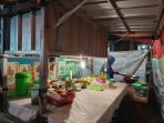 Warung tenda Penyetan Pak Muji di Tulakan Pacitan yang menyajikan menu Ikan Bilendango.