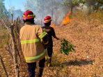 Kebakaran-Lahan-Ploso-Pacitan-Agustus-2026.jpg Personel Damkar Pacitan memadamkan api yang membakar semak belukar di Kelurahan Ploso akibat pembukaan lahan.