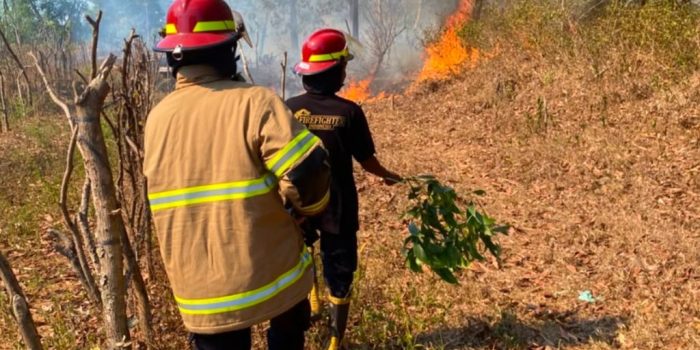 Personel Damkar Pacitan memadamkan api yang membakar semak belukar di Kelurahan Ploso akibat pembukaan lahan.