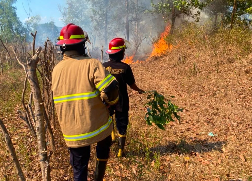 Personel Damkar Pacitan memadamkan api yang membakar semak belukar di Kelurahan Ploso akibat pembukaan lahan.