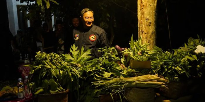 Bupati Pacitan Indrata Nur Bayuaji meninjau Kawasan Rumah Pangan Lestari (KRPL) di Dusun Nitikan, Desa Sukoharjo.