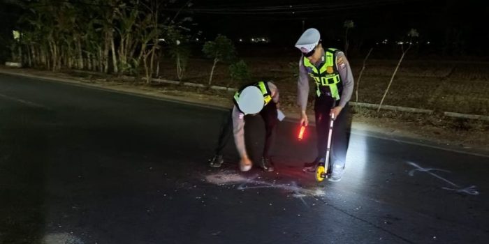 Ilustrasi dua sepeda motor ringsek pascakecelakaan lalu lintas di Jalan Raya Ngadirojo-Tulakan, Pacitan.