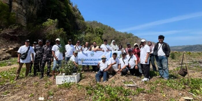 Peserta Konsolidasi Jagoan Desa se-Jawa Timur menanam bibit mangrove di kawasan pesisir Watu Mejo, Desa Kembang, Kabupaten Pacitan.