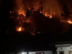 Petugas Damkar Pacitan memadamkan kebakaran hutan di Desa Kebondalem, Kecamatan Tegalombo.