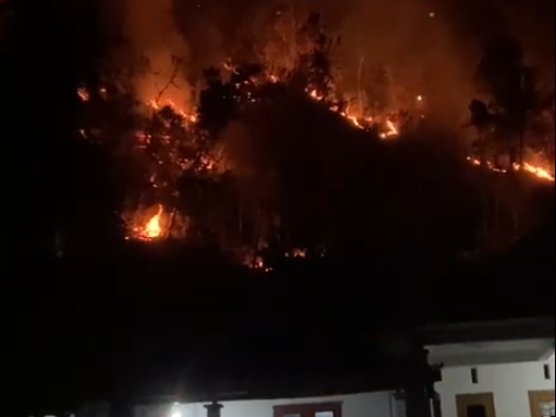 Petugas Damkar Pacitan memadamkan kebakaran hutan di Desa Kebondalem, Kecamatan Tegalombo.